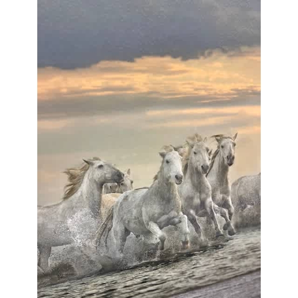 Running Horses - Image 2