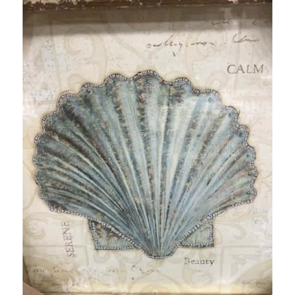 Blue Coastal Seashell - Image 2
