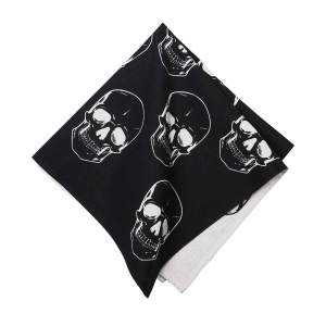 Reversible Skull Dinner Napkins Set of 4