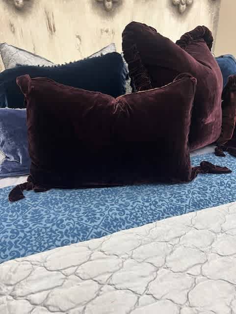 Silk Velvet Wine Pillow Standard Size with Velvet Tie Tassels - Image 2